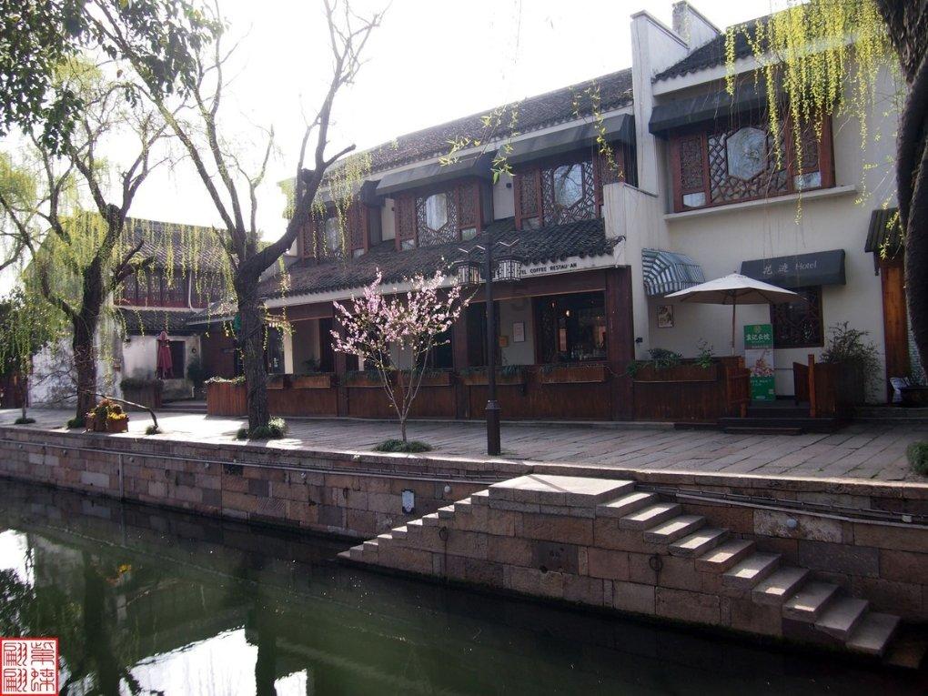 了解茜之塔要如何养殖,注意这5个养护技巧,让它轻松爆盆,是真的吗?平台的全面指南-尽享知识星球的乐趣